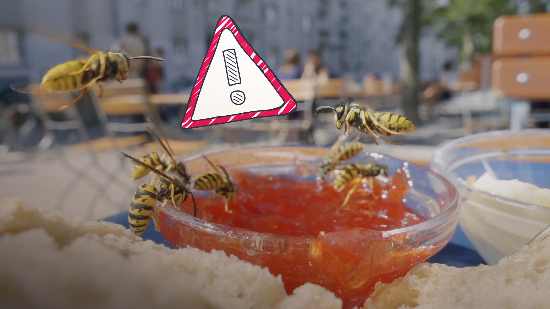 Wespen fliegen über Marmeladenglas, daneben Warnschild mit Ausrufezeichen