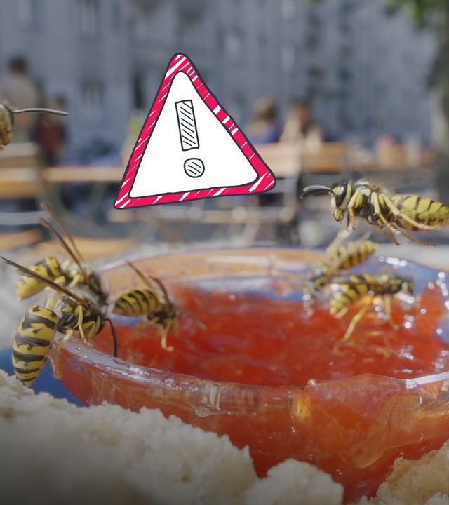 Wespen fliegen über Marmeladenglas, daneben Warnschild mit Ausrufezeichen