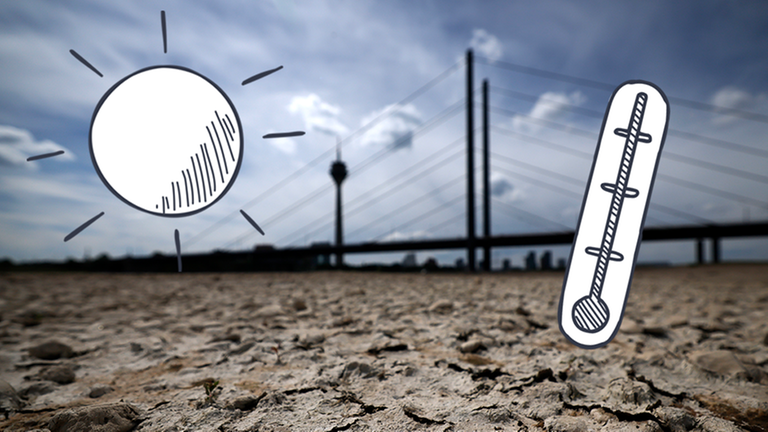 Ausgetrocknetes Flussbett des Rheins, Brücke und Düsseldorf im Hintergrund