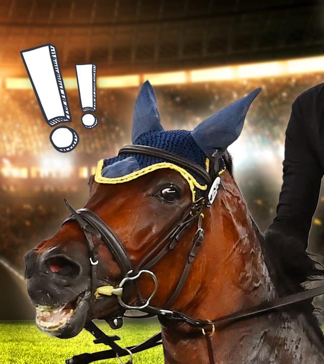 Moderator Tim mit ablehnender Hand, daneben ein panisches Pferd, darüber steht: "Hau mal richtig drauf!"