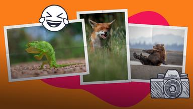 Wildlife Award 2026