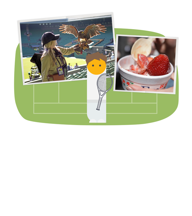 Wimbledon - Grafik