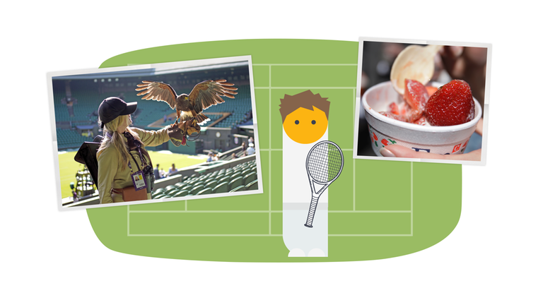 Was ist eigentlich Wimbledon?