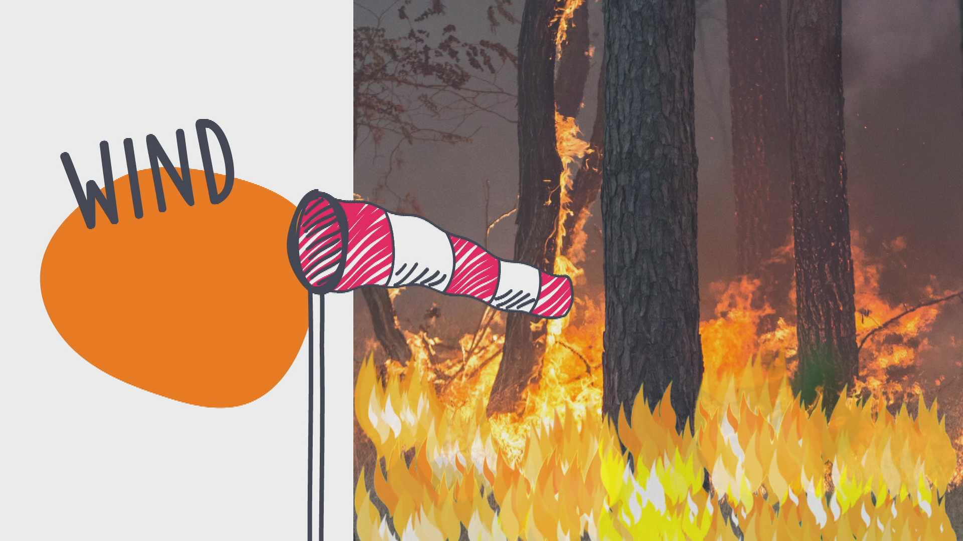 Grafik: Wehende Fahne vor Waldbrand-Foto