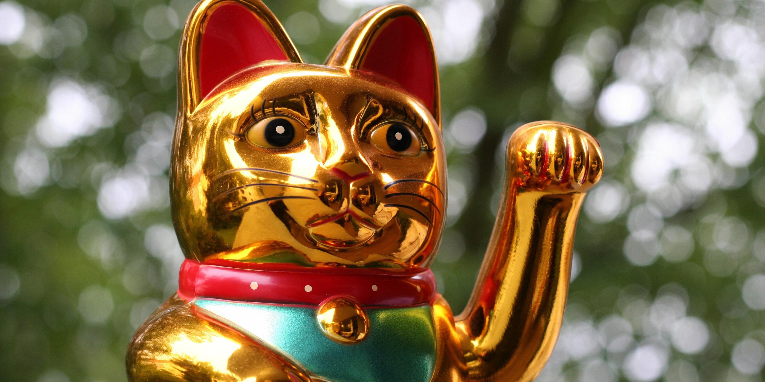 Winkekatze