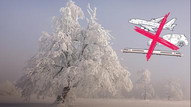 Winterwonderland