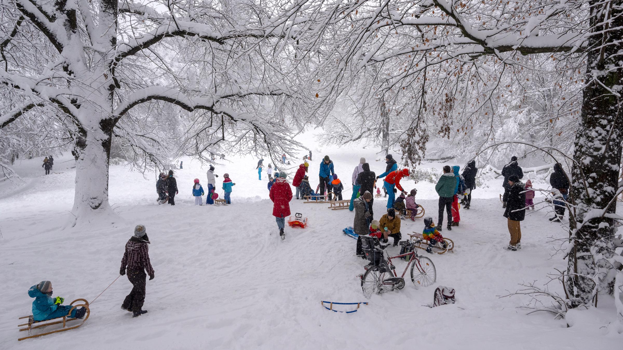 Schlittenfahrer am Hügel hinter dem Landtag am 02.12.2023 in München.
