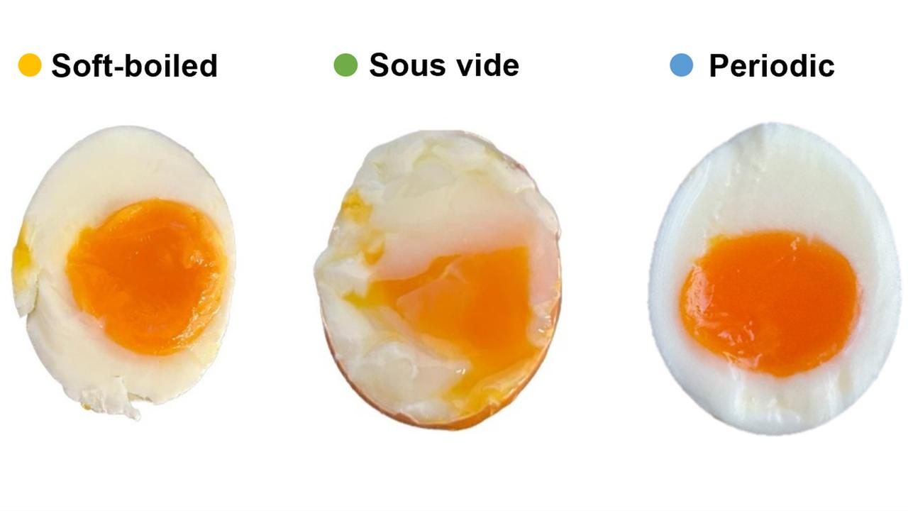 Verschiedene aufgeschnittene Hühnereier, darunter ein rohes, hartgekochtes und periodisch gekochtes Ei. 