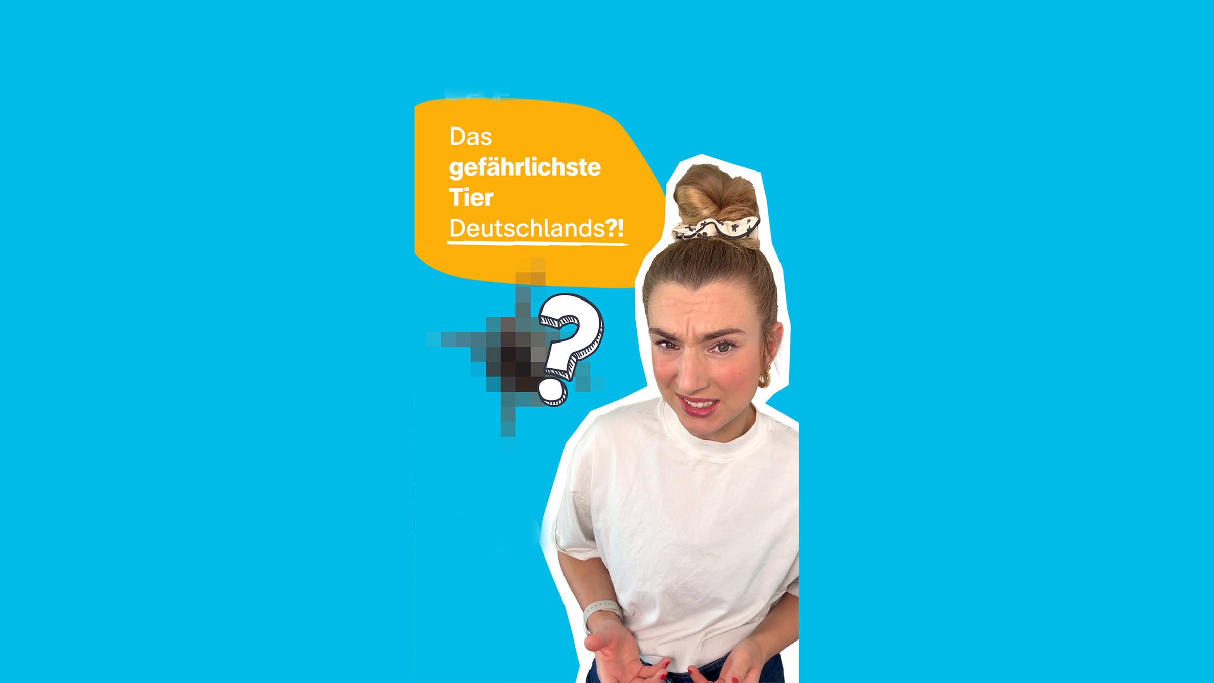 Gefährlichstes Tier: Zecke