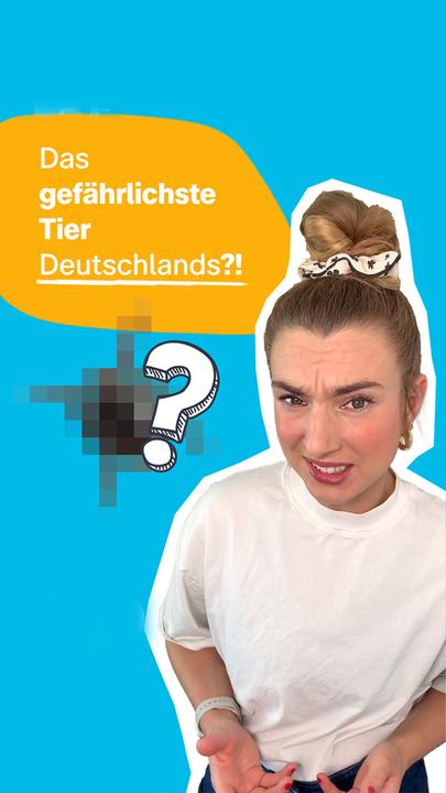 Gefährlichstes Tier: Zecke