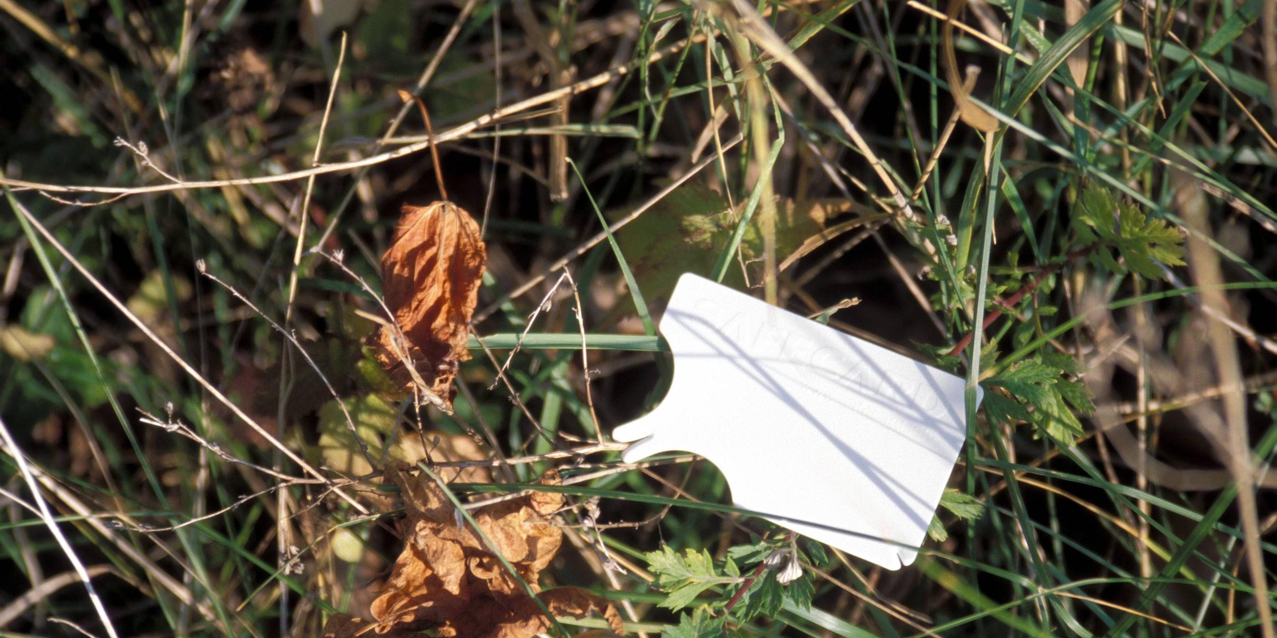Zeckenkarte im Gras
