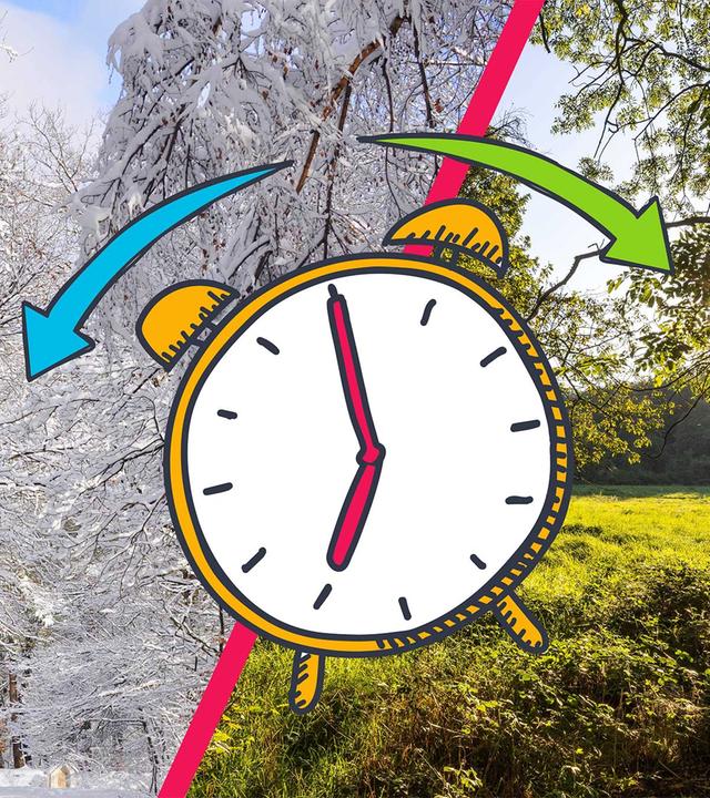 Eine Winter- und eine Sommerlandschaft, davor ein Wecker mit Pfeilen nach links zum Winter und nach rechts zum Sommer.