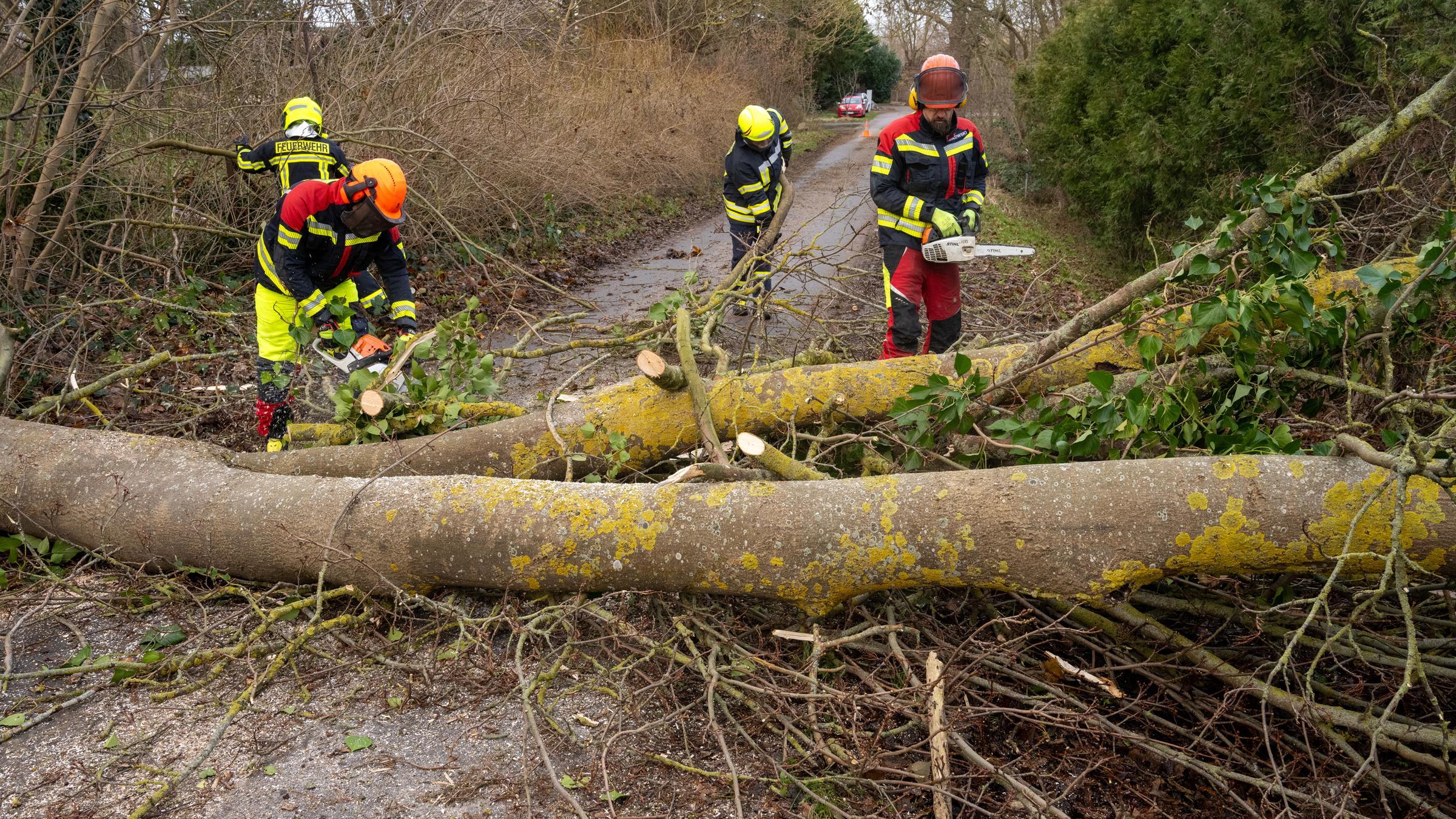 Die Einsatzkräfte der Freiwilligen Feuererwehren Stralsund und Altefähr räumen in Gustrowerhöfen bei Altefähr einen umgestürzten Baum